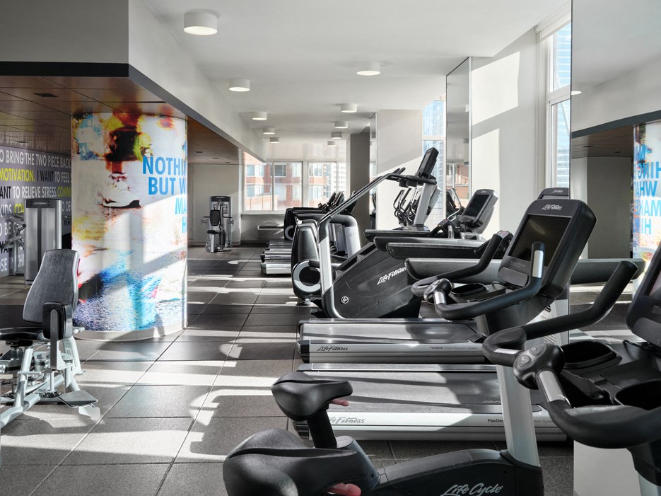 A gym with treadmills, exercise bikes and other equipment.