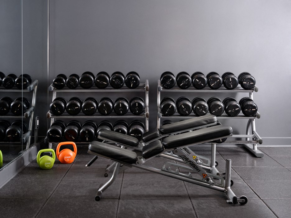 A gym with a bench, weights, and dumbbells.