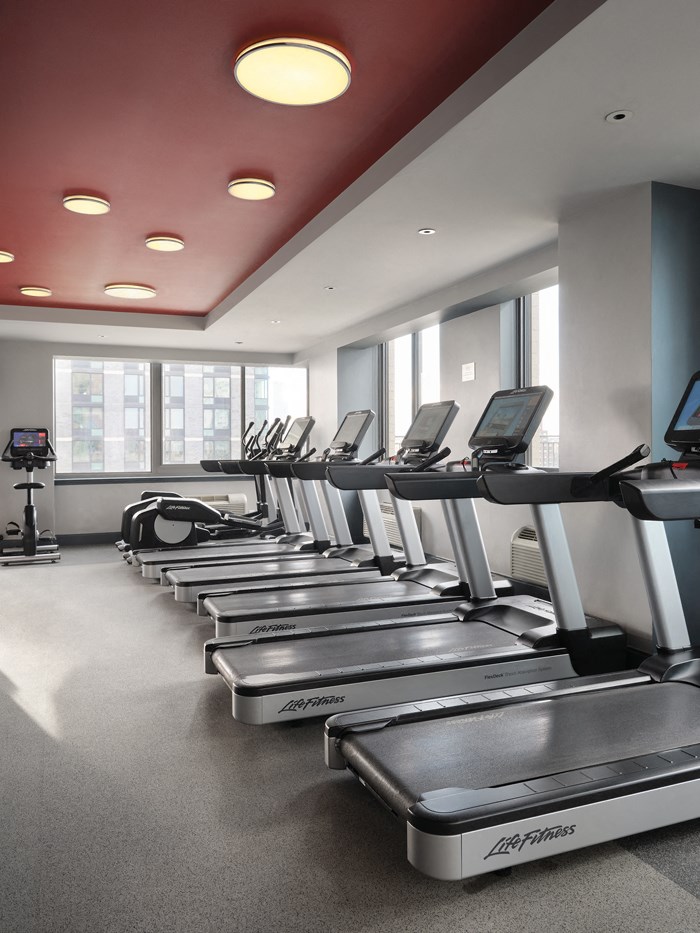A row of treadmills are lined up in a gym.