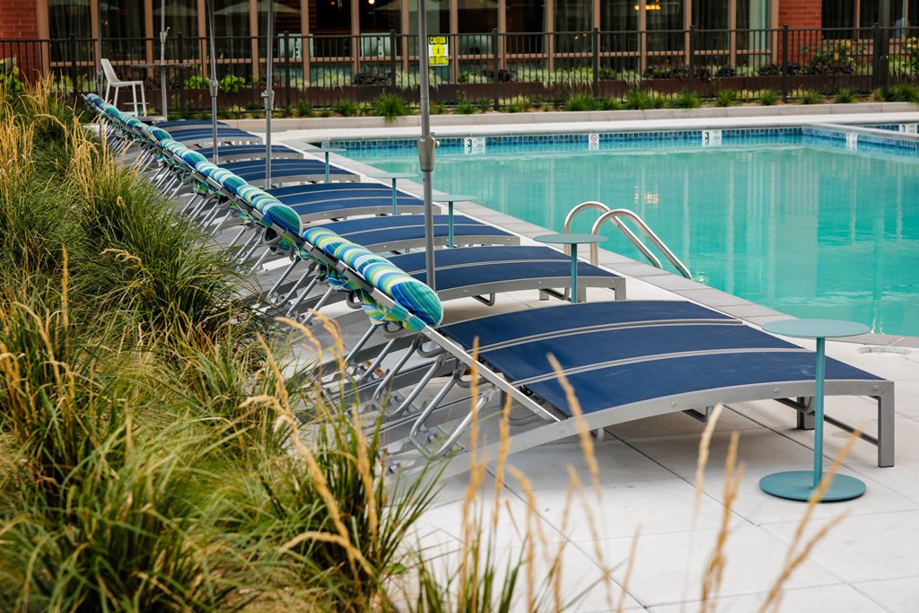 A row of sun loungers are by a pool.