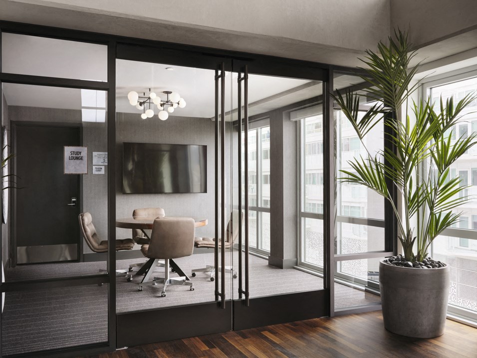 a conference room with a table and chairs and a potted plant