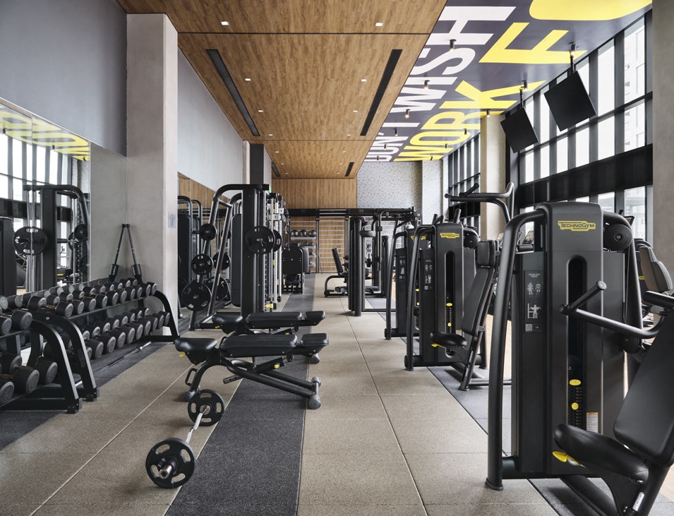 a row of weights and cardio equipment in a gym