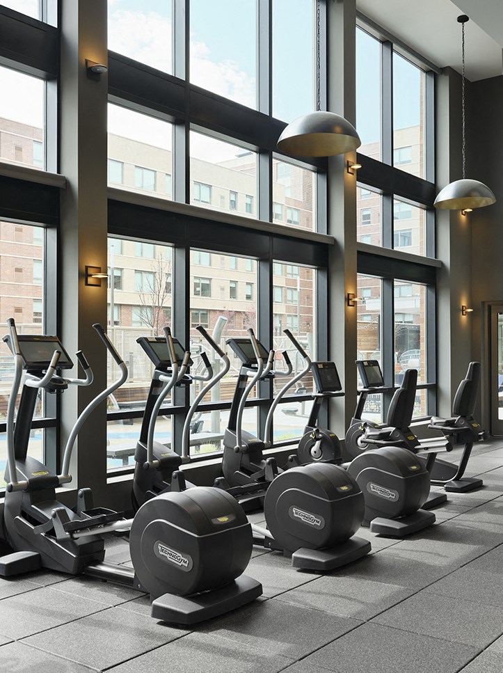 a row of exercise bikes in a gym with tall windows