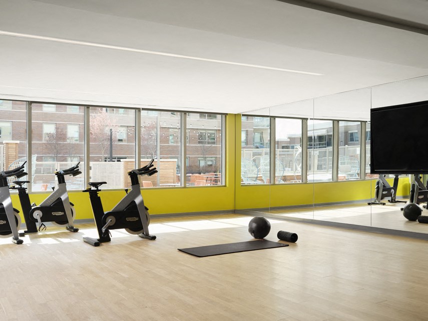 a group of exercise bikes in a gym with windows