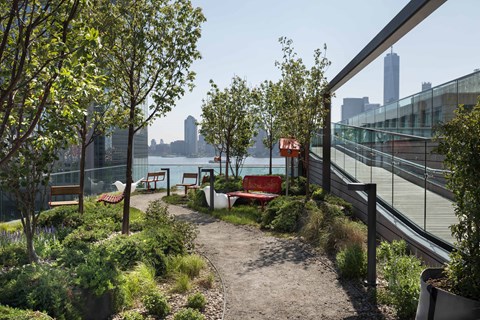 A pathway with benches and trees in the foreground with a city skyline in the background.