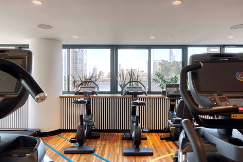 A gym with treadmills and elliptical machines.