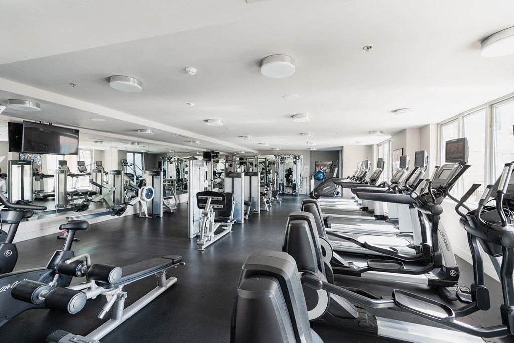 a gym filled with rows of cardio exercise equipment