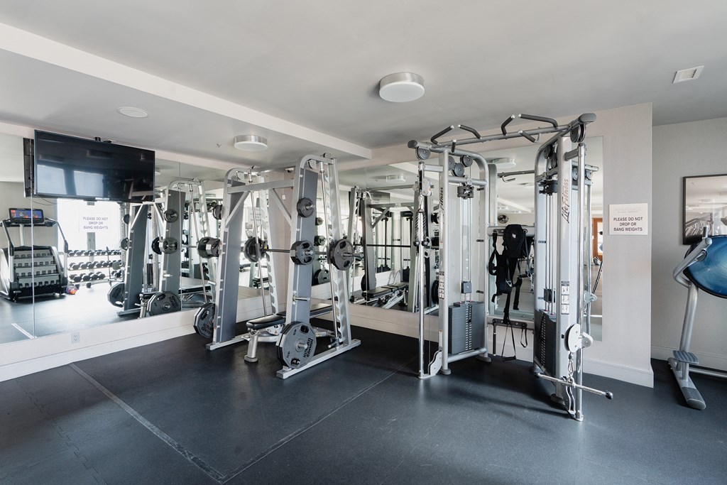 a gym with weights and cardio equipment in a building