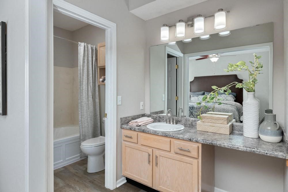 a bathroom with a sink and a toilet and a mirror