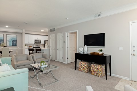 a living room with a couch and a coffee table and a television