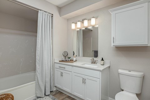 a bathroom with a sink and a shower and a toilet