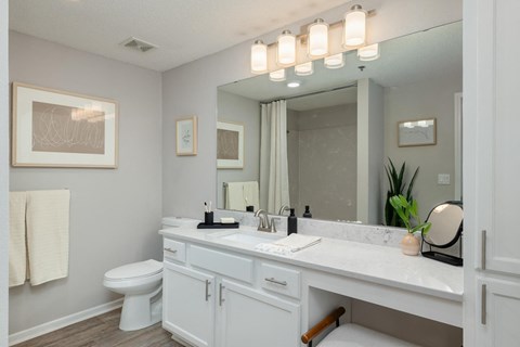 a bathroom with a large mirror and a sink and a toilet