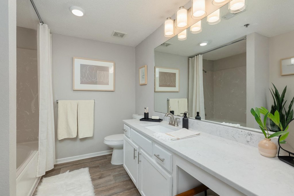 a bathroom with a sink and a toilet and a mirror