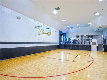 Indoor Basketball Court - Photo Gallery 6