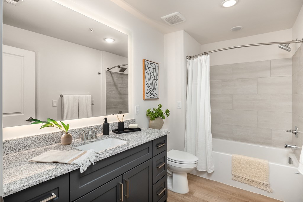a bathroom with a sink and a toilet and a shower
