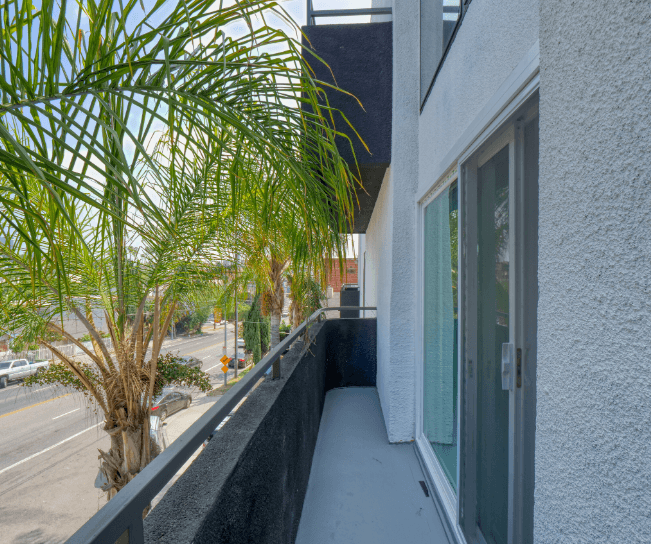 a balcony or terrace with a potted palm tree