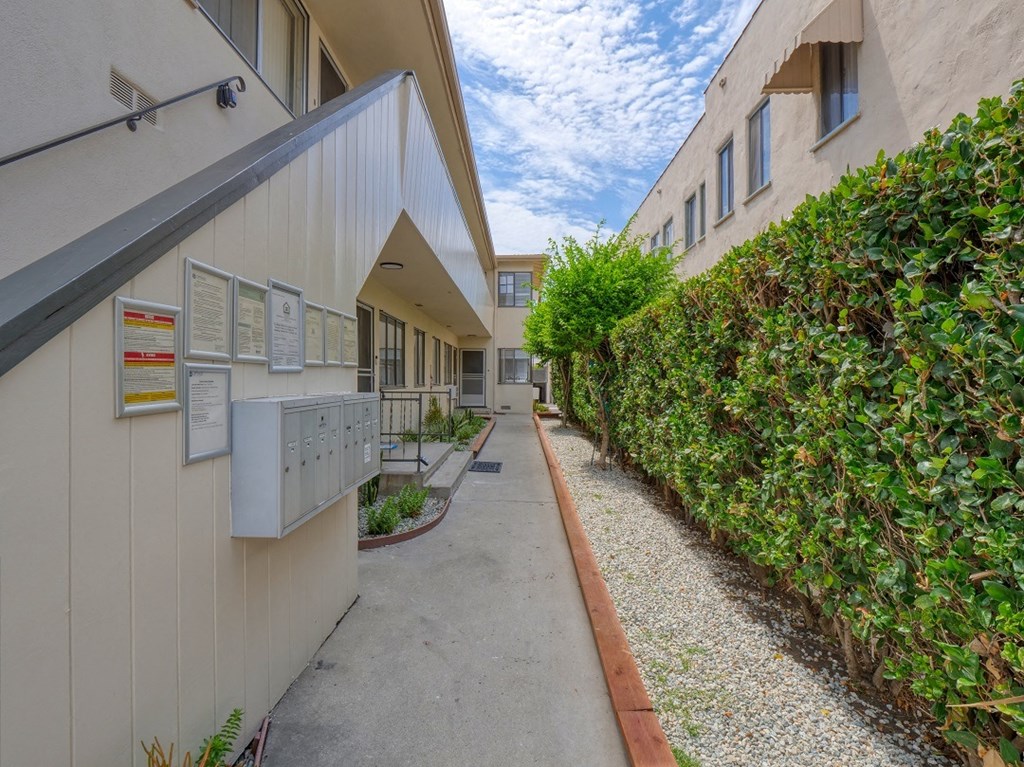 a corridor between two buildings with bushes on either side and a sidewalk