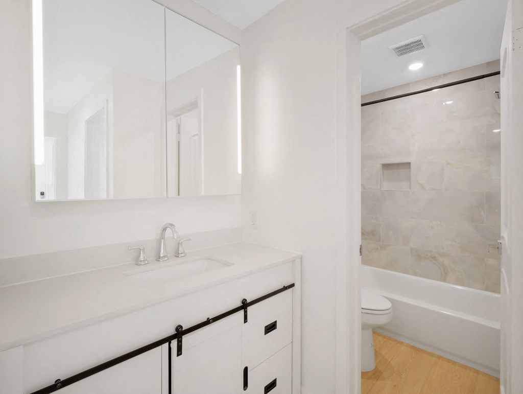 a bathroom with a sink and a toilet