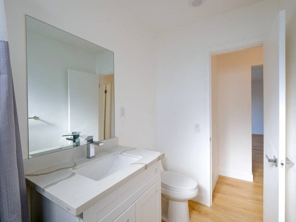 a bathroom with a sink and a toilet and a mirror