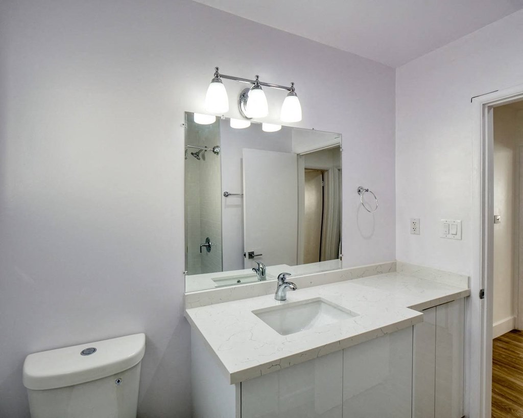 a bathroom with a sink and a mirror and a toilet