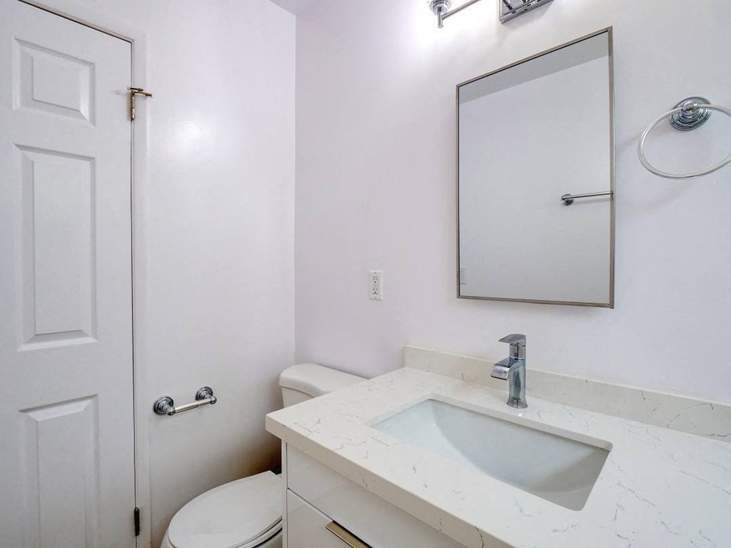 a bathroom with a sink and a toilet and a mirror