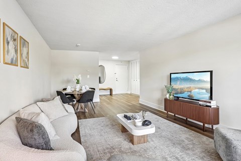 A living room with a grey sofa, a grey rug, a wooden coffee table, a television, a dining table with chairs, and a painting on the wall.