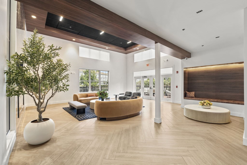 A living room with a tree in a white pot.