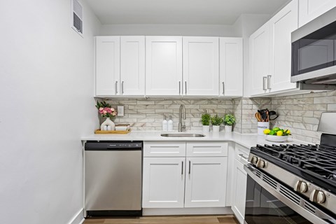 3005 Chapel Ave Studio-3 Beds Apartment for Rent