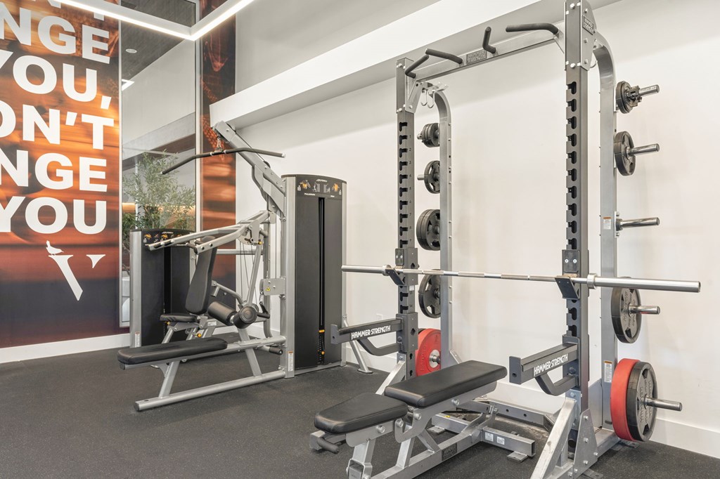 A gym with a squat rack and a bench.