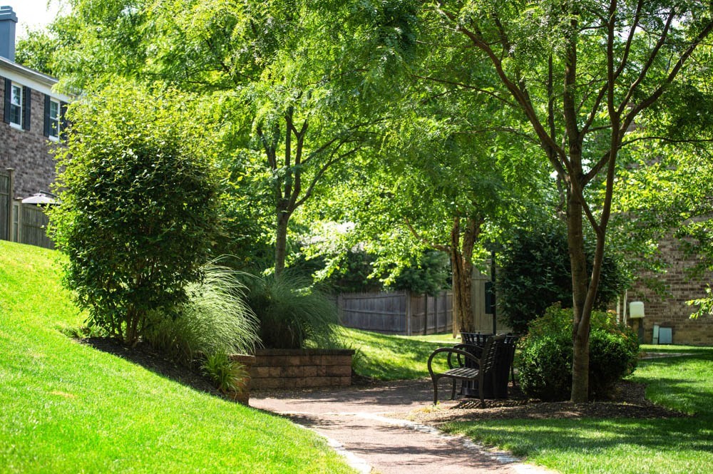 a walkway with trees and a bench in a park at Chestnut Hill Village, Pennsylvania