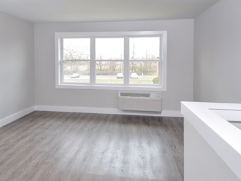 Burlington Pointe Apartment Living Room - Photo Gallery 6