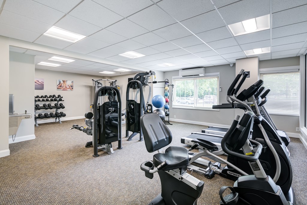 A well-equipped gym with a variety of exercise machines.