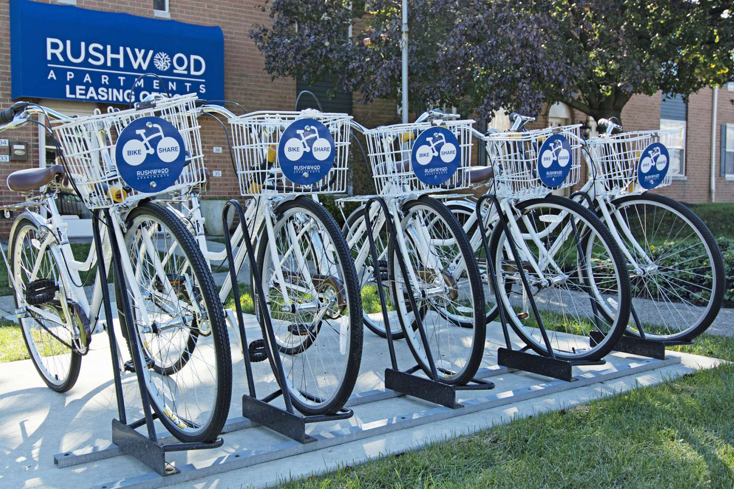 Rushwood bike share