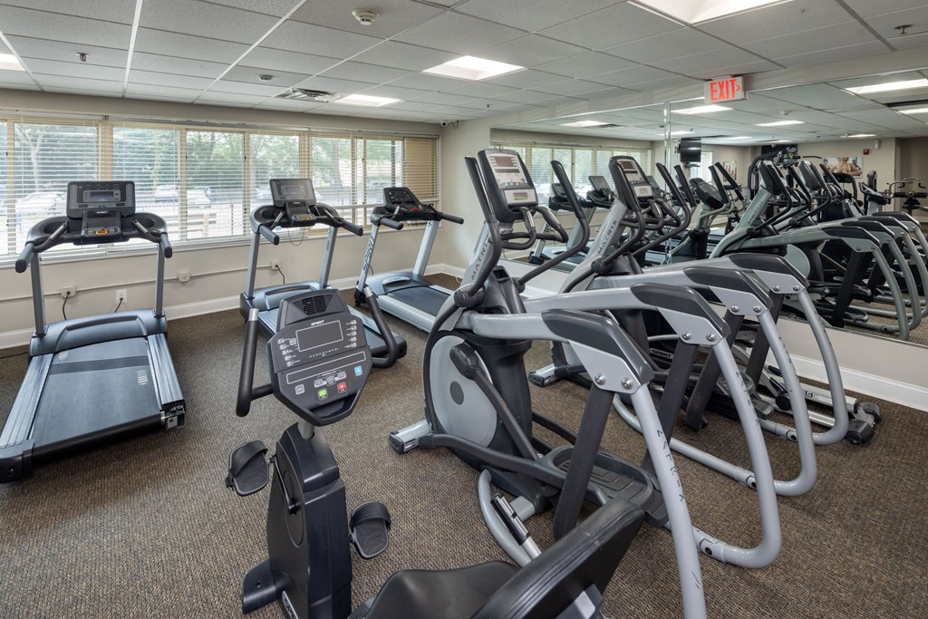 A gym with treadmills, elliptical machines, and stationary bikes.