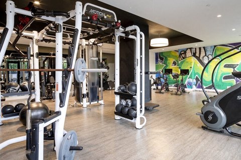 A gym with a variety of equipment including a weight bench, a squat rack, and a treadmill at The Irvine, Philadelphia
