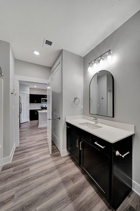 a bathroom with a sink and a mirror