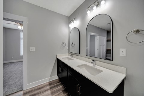 a bathroom with a sink and a large mirror
