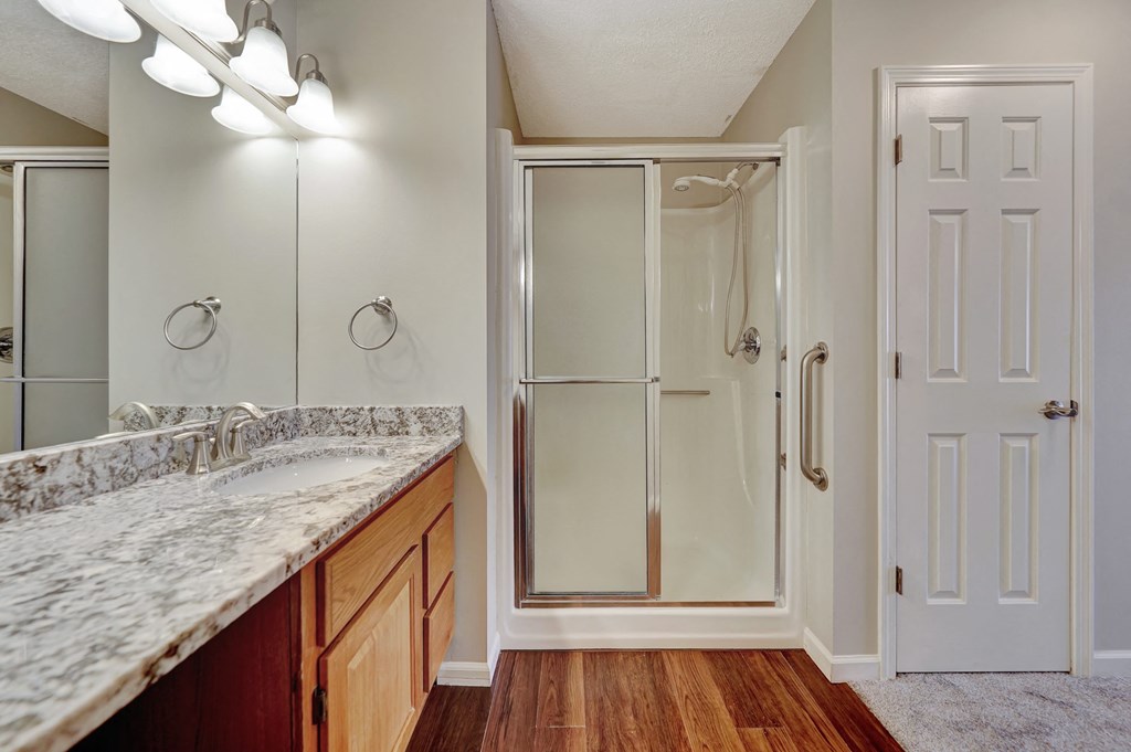 a bathroom with a sink and a shower