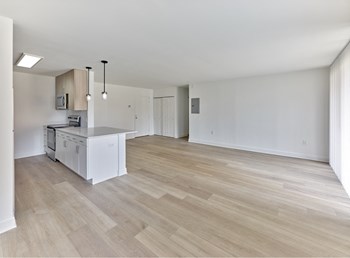 Oversized Living Room with Plank Flooring - Photo Gallery 5