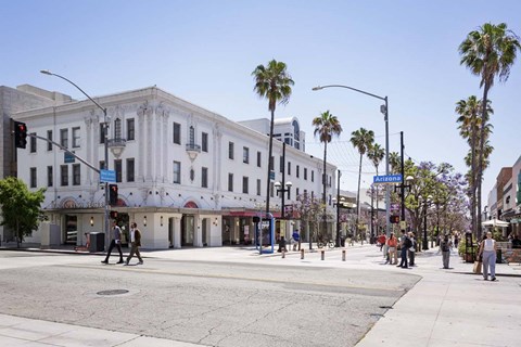 A street scene with a crosswalk and palm trees.