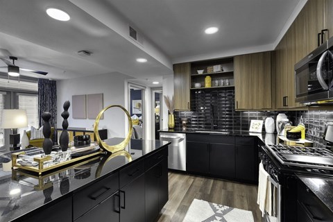 a kitchen with black cabinets and stainless steel appliances and a black counter top