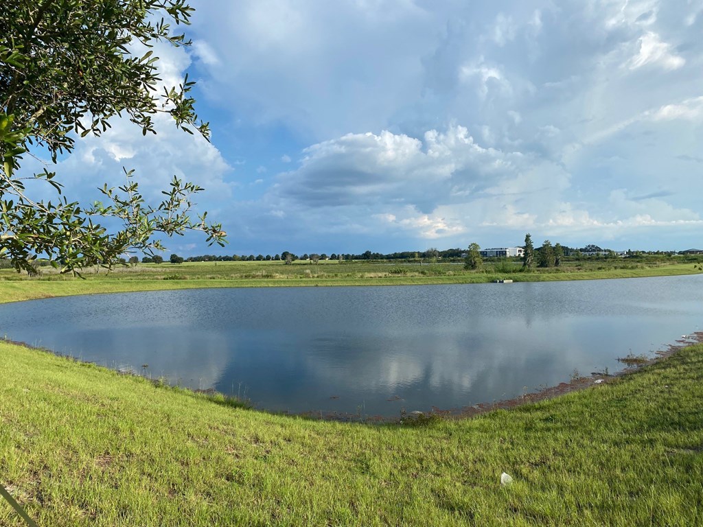 a small pond in a grassy field with a cloudy sky