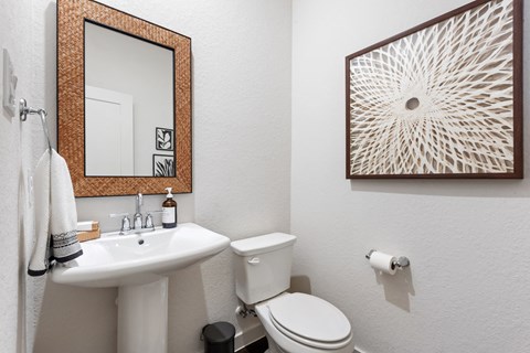 a bathroom with a sink and a toilet and a mirror