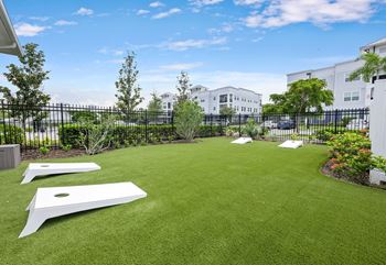 A backyard with a green lawn and white objects on it.