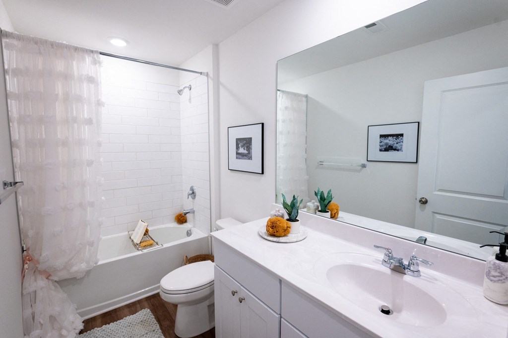 a bathroom with a sink and a toilet and a shower