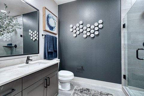a bathroom with a toilet and a sink and a mirror