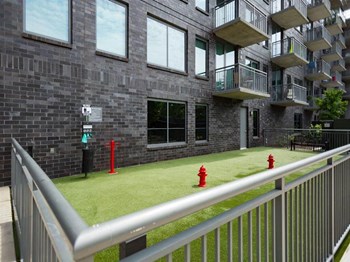 Pet Play Area at Azure on The Park, Atlanta, GA - Photo Gallery 28