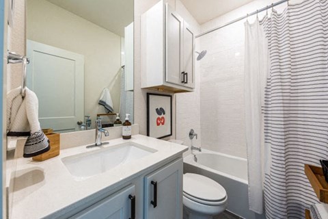 a bathroom with a sink and a toilet and a shower