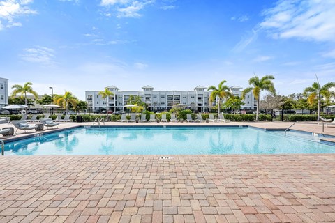 A large swimming pool surrounded by a brick patio and palm trees.
