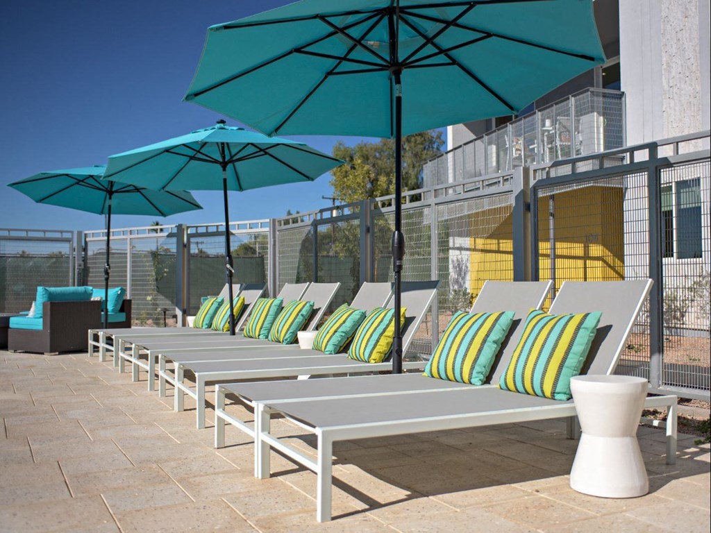 a row of lounge chairs with umbrellas on a patio at Novella Arcadia, Phoenix, 85018